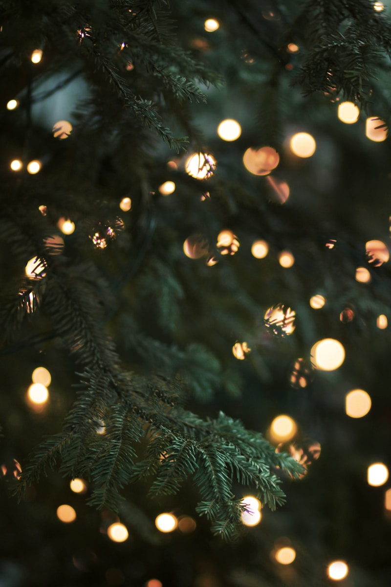 Wijn met kerst