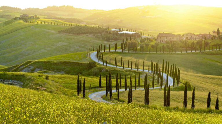 Italie wijn